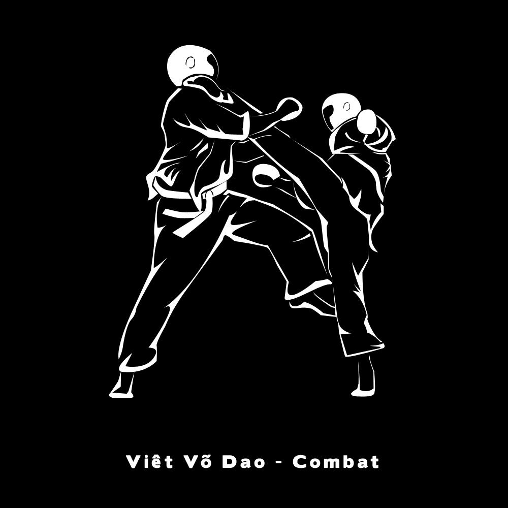 Affiche VietVoDao Combat