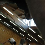 2016-06-07 - Cours de cardio